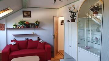 Télévision, lecteur de DVD, livres