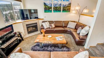 Télévision, cheminée, lecteur de DVD, chaßne hi-fi