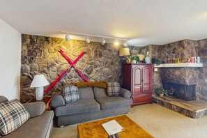 TV, fireplace, DVD player, books