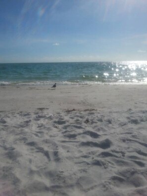 A sandy beach with footprints and a single bird.