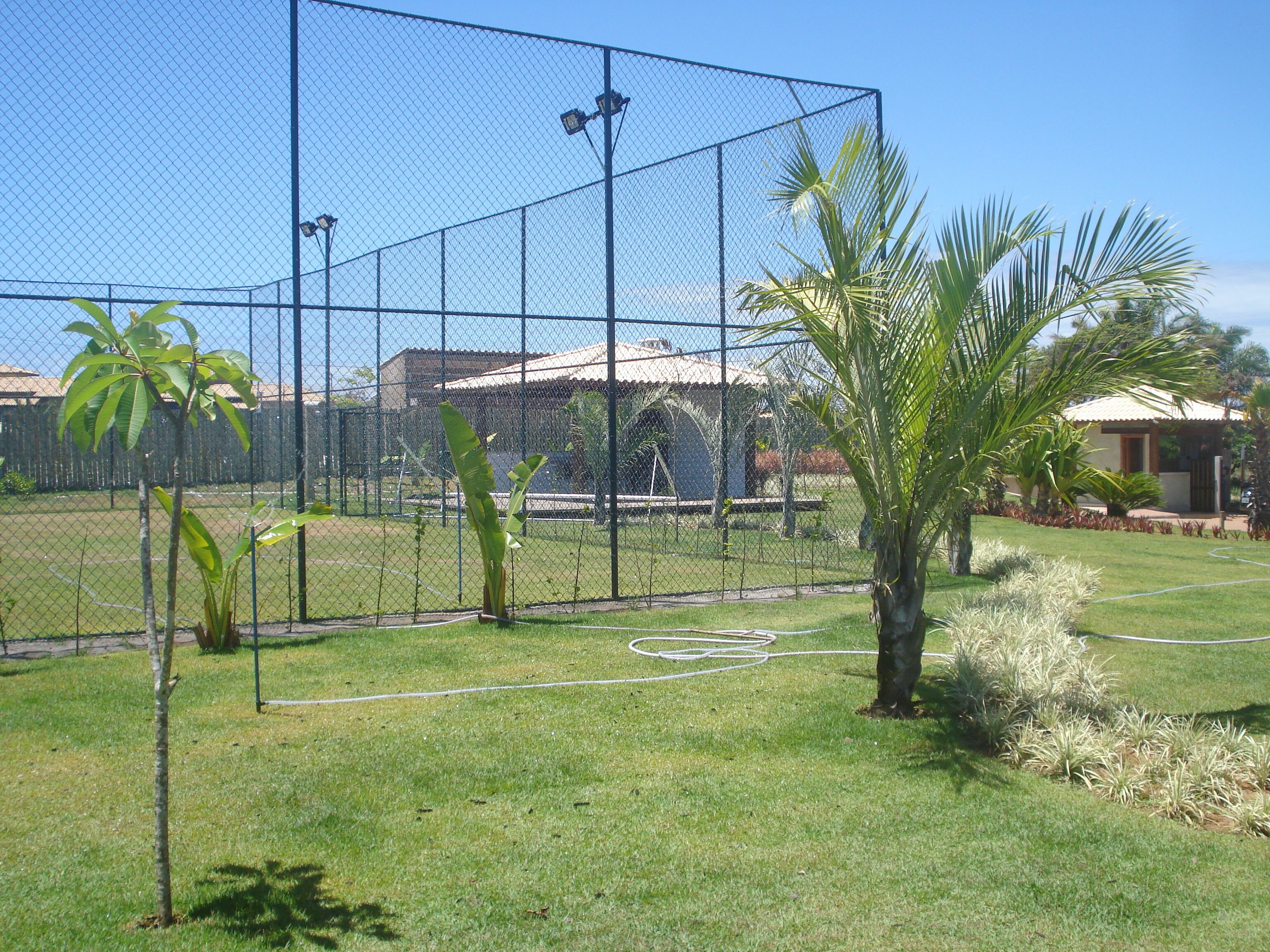 Ein durch einen Zaun umgebenes Tennisplatz mit blauem Himmel, einer Palme und einem Gebäude im Hintergrund.