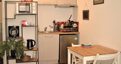 T2 Palace of Justice apartment Downtown