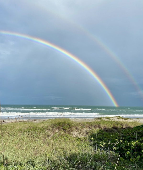 Plage, chaises longues, serviettes de plage