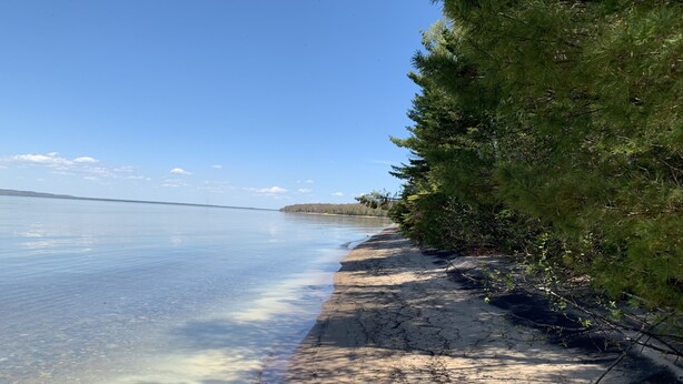 A clear lake with a sandy beach and dense green foliage on the right. - Lake Superior Waterfront home (Brimley)