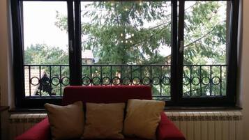 Televisión y libros