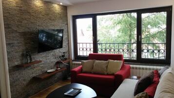 Televisión y libros