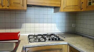 Fridge, oven, stovetop, cookware/dishes/utensils