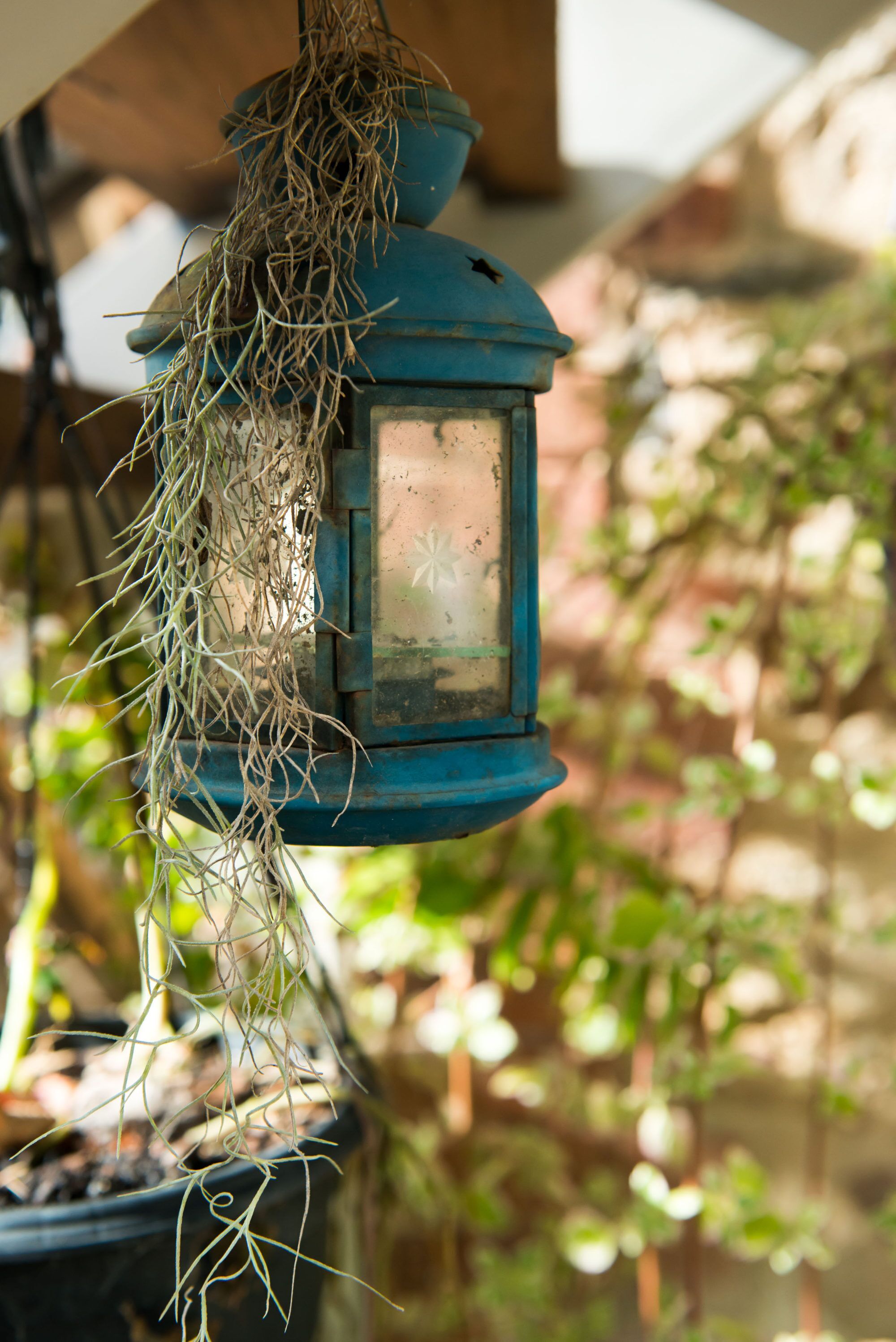 Unwind Holidays Camellia Cottage: Hideaway in the Picturesque Adelaide Hills. — image 21