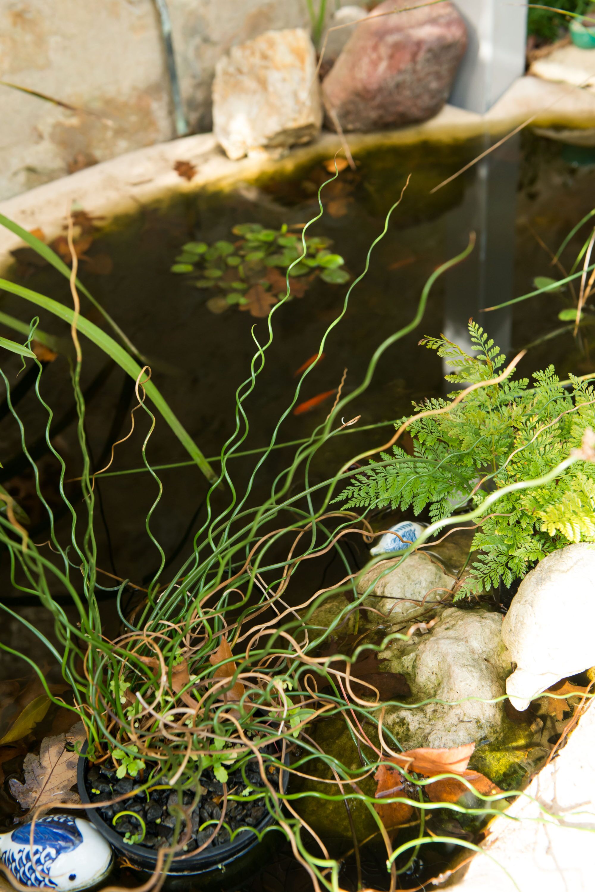 Unwind Holidays Camellia Cottage: Hideaway in the Picturesque Adelaide Hills. — image 20