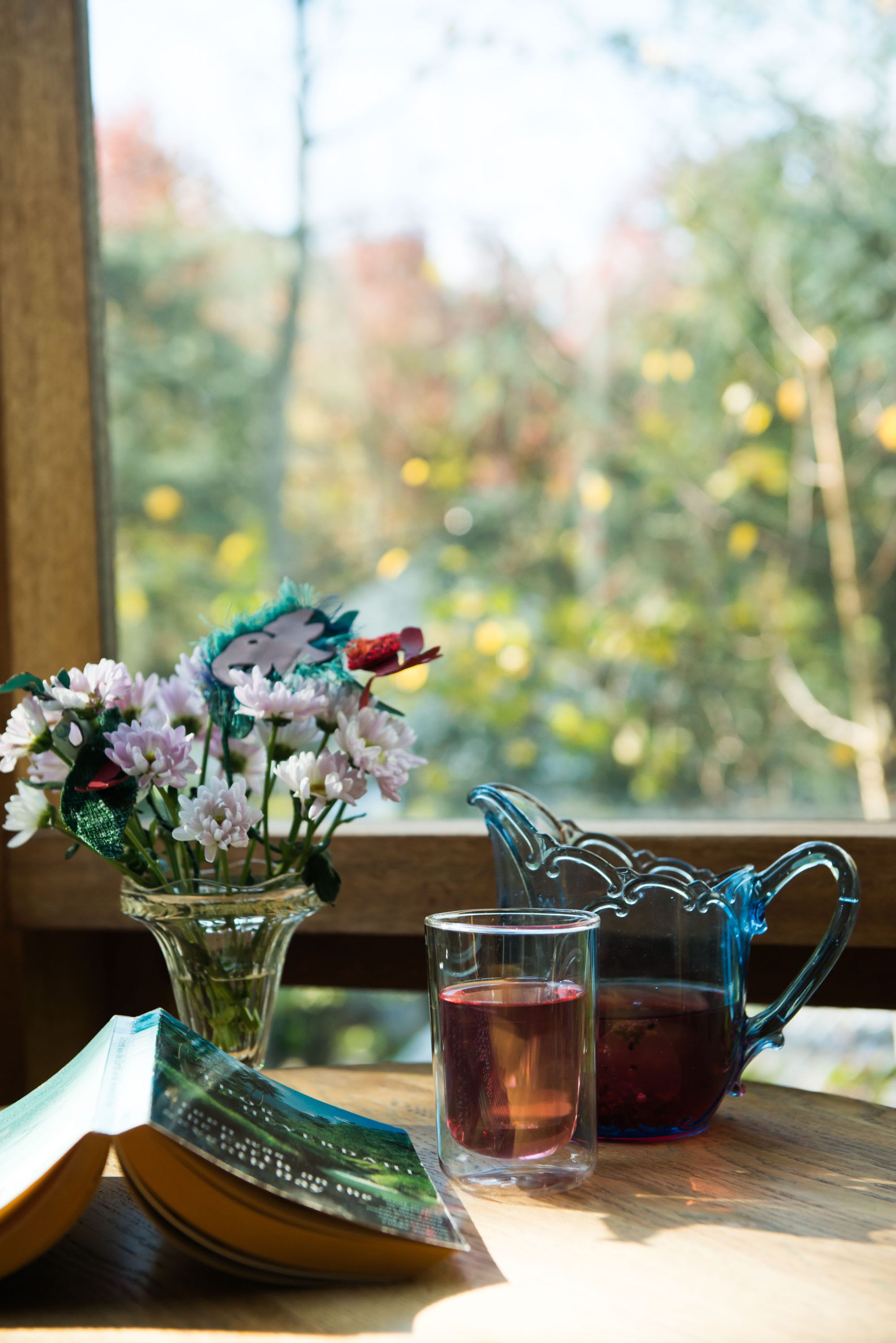 Unwind Holidays Camellia Cottage: Hideaway in the Picturesque Adelaide Hills. — image 3