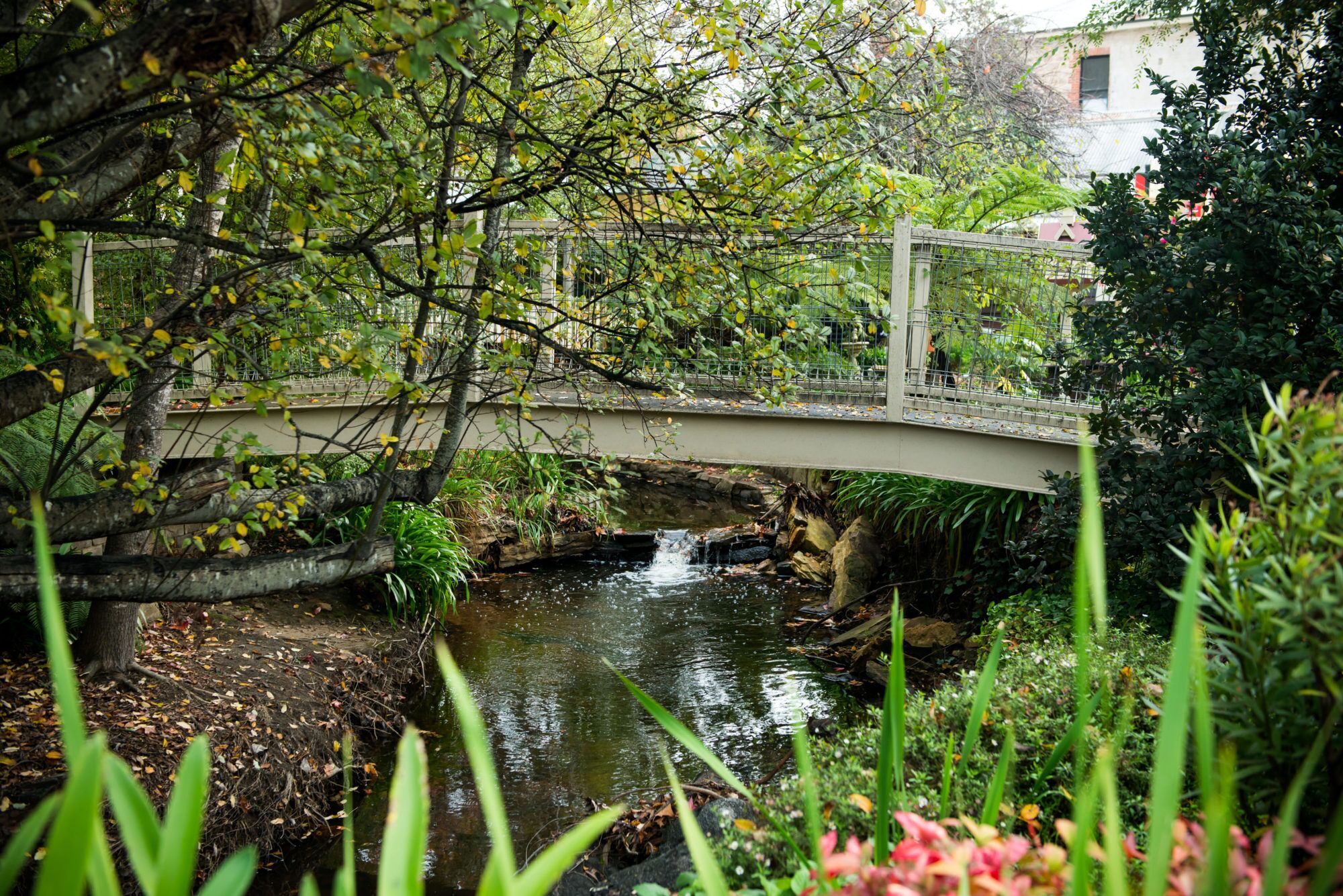 Unwind Holidays Camellia Cottage: Hideaway in the Picturesque Adelaide Hills. — image 22