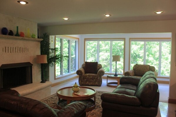 Smart TV, fireplace, DVD player, books