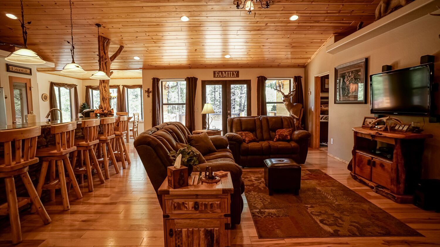 Smart TV, fireplace, DVD player, books