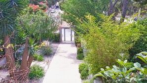 A pathway leading to a building surrounded by lush greenery and various plants. - Elegant Vouliagmeni apartment in a Unique Spot. (Vouliagmeni)