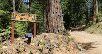 Construcción a estrenar Ago. 2019 Cabaña Sugar Pine en los hermosos Mariposa Pines