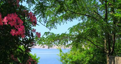 Villa Mihaela - Beachfront apartment "Ana" with sea view and pool