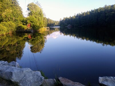 Home away from Home. Pet friendly.