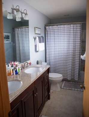 Bathtub, towels, toilet paper
