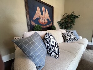 Smart TV, fireplace, books