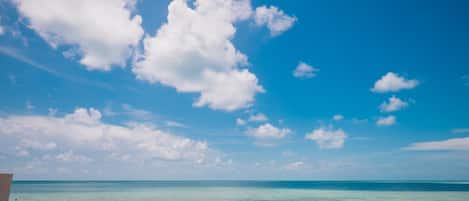 Serviettes de plage