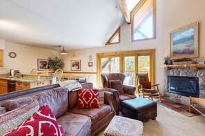 Télévision, cheminée, lecteur de DVD, livres