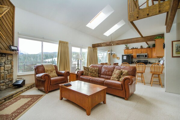 TV, fireplace, DVD player, books