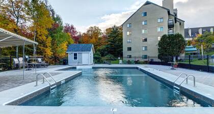 Cozy studio with balcony, full kitchen, and free WiFi - walk to lifts