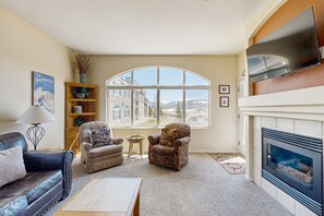 Televisión, chimenea y reproductor de DVD