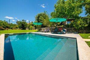 Pool - Cottage - Olive House (Areias de Vilar)