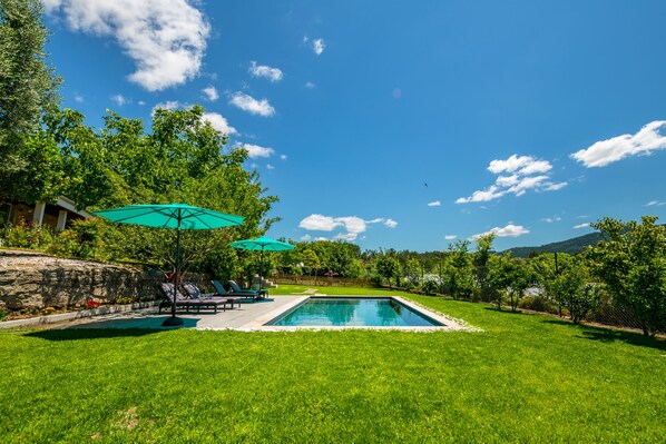Pool - Cottage - Olive House (Areias de Vilar)