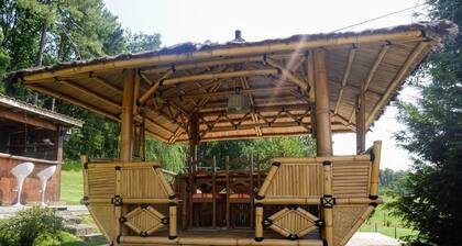 Gîte "Entre amis" 6 people with heated swimming pool, pets accepted. Optional spa