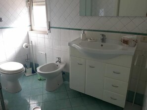 Een douche, een haardroger, een bidet, handdoeken