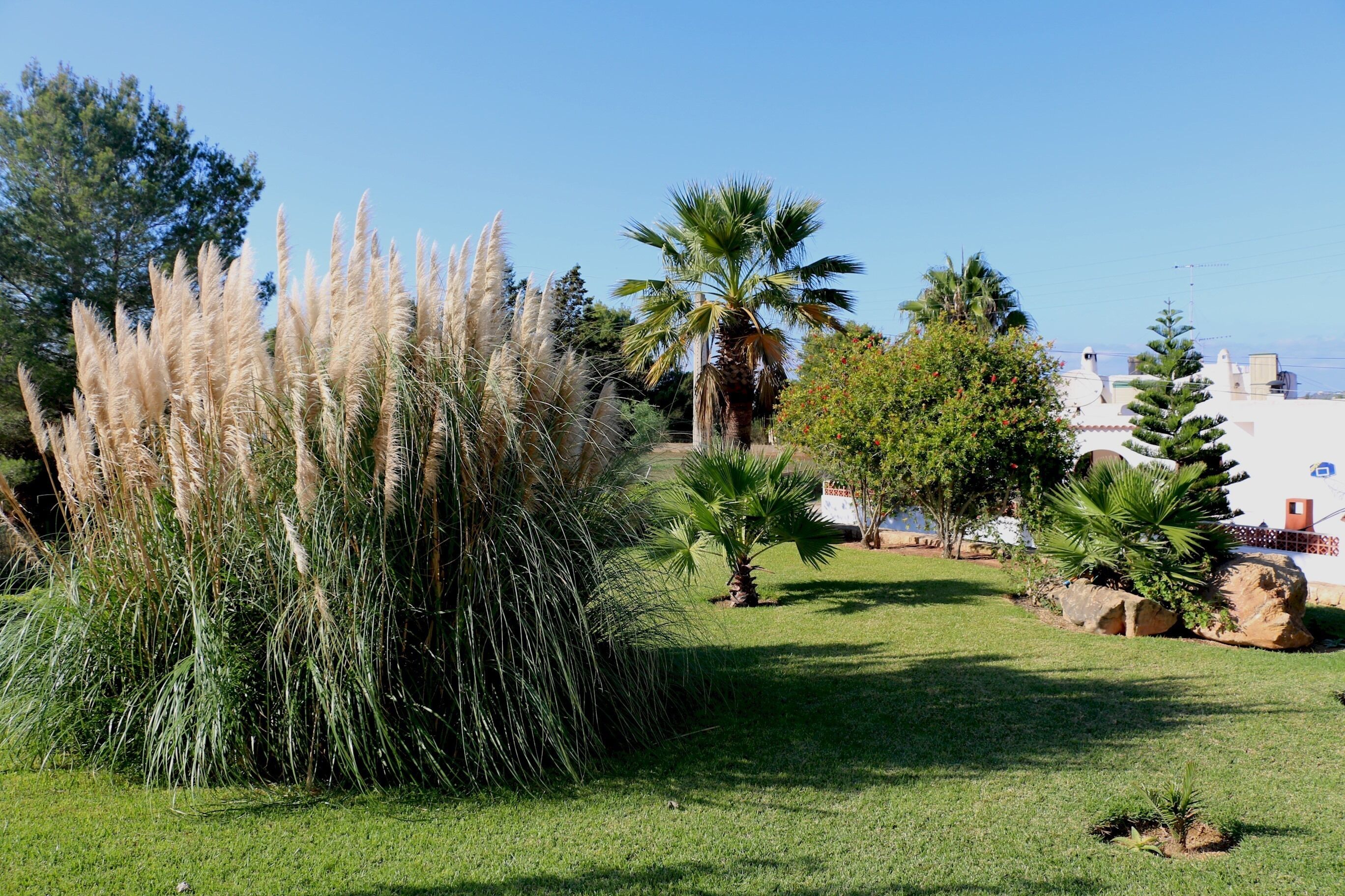 Jardines del alojamiento