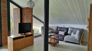 Televisión, chimenea, reproductor de DVD y libros