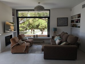 Televisión, chimenea, reproductor de DVD y libros