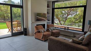 Televisión, chimenea, reproductor de DVD y libros