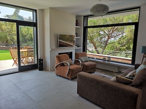 Televisión, chimenea, reproductor de DVD y libros