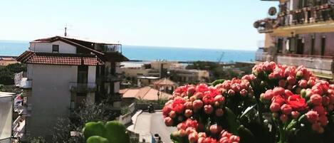 Vista desde la propiedad