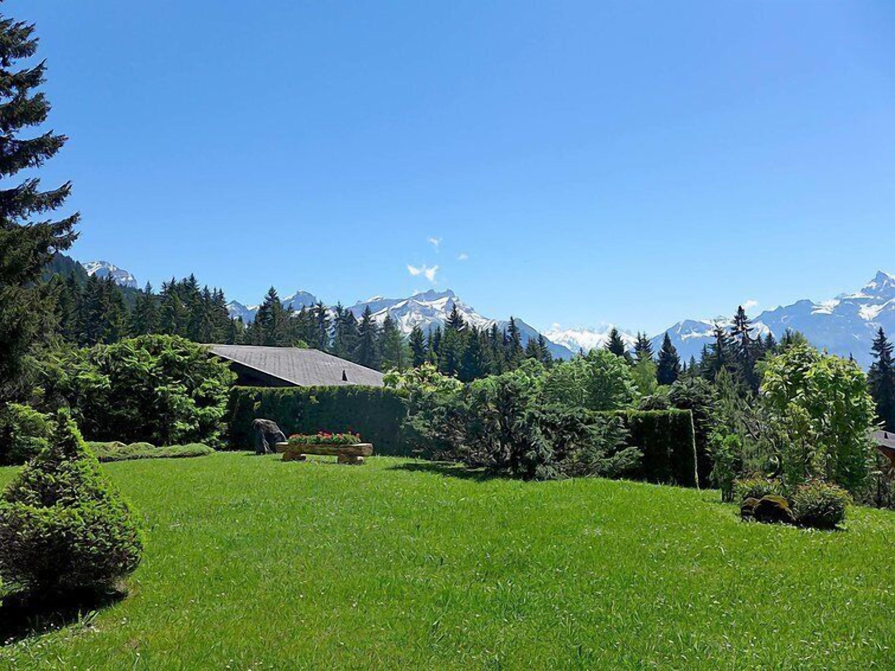 Un champ herbeux avec un bâtiment et des montagnes en arrière-plan.