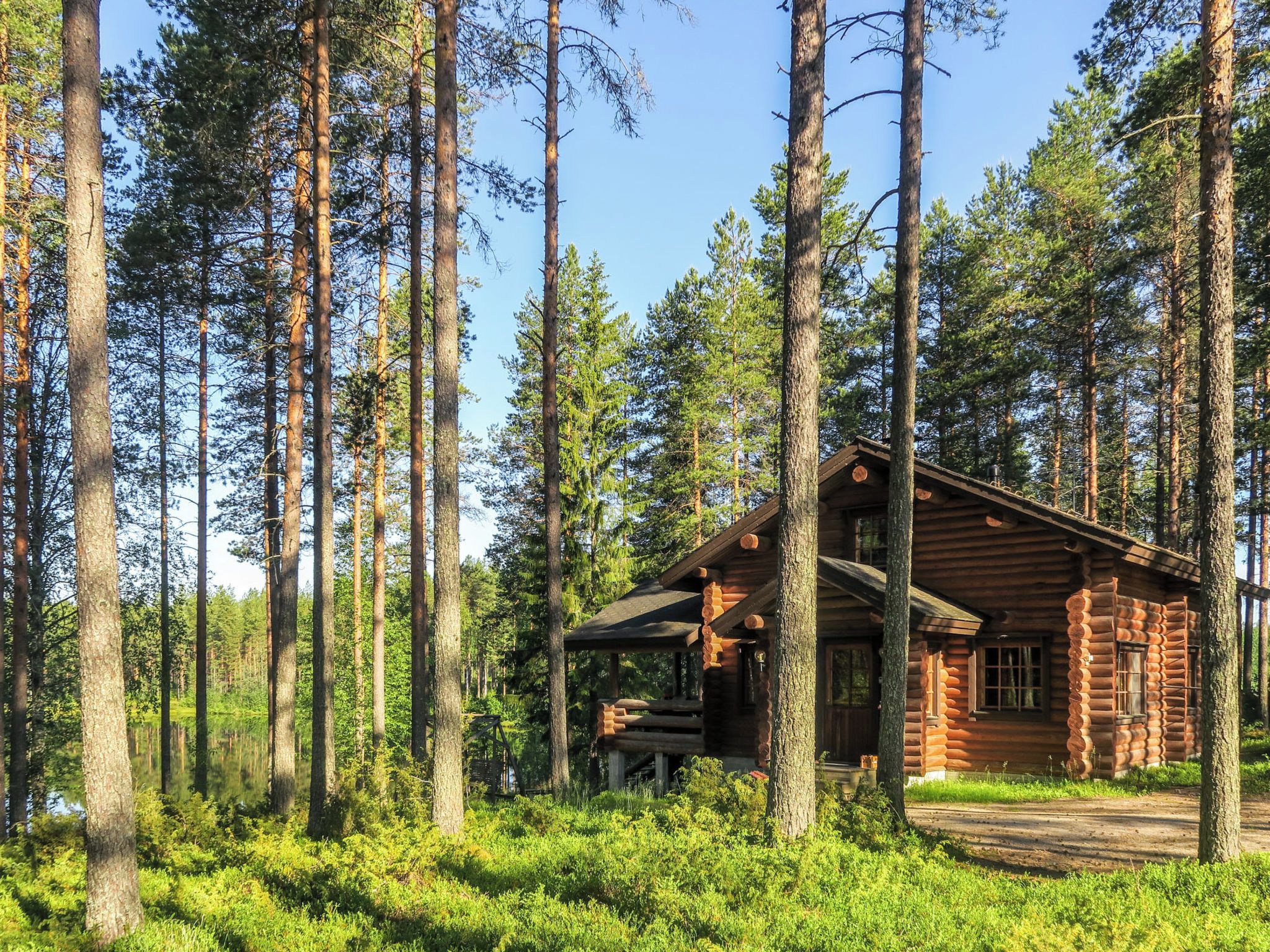 Hirsimökki, jonka ympärillä kohoaa korkeita mäntyjä ja jonka yllä on kirkas taivas.