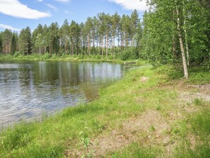 Tyyni järvi, jonka ympärillä on tiheä metsä ja jonka rannalla on ruohikkoista maastoa.