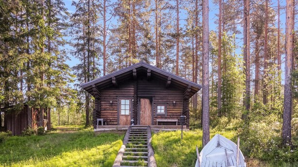 Eine rustikale Holzhütte mit einer Holztreppe, die zum Eingang führt, umgeben von hohen Bäumen und einer Rasenfläche.