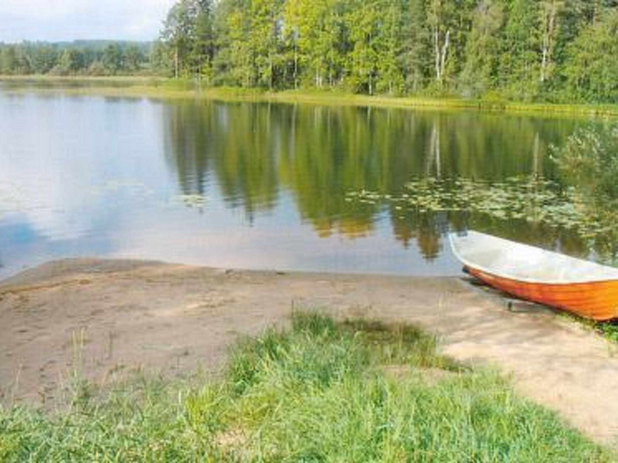 منوع