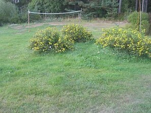 Surrounded by lush greenery, this serene outdoor space features vibrant yellow flowering bushes and a natural wooden fence.