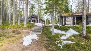 A cabin with a wooden exterior, surrounded by a forest with tall trees and a snow-covered ground.