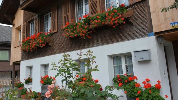 En byggnad med flera våningar, försedd med träpersienner, blomlådor med röda blommor och en vit fasad.