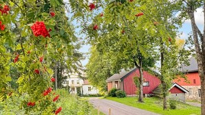 Overnattingsstedets uteområder