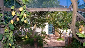 Un jardín con un pérgola de madera, limoneros y un sendero que lleva a un edificio con una puerta azul.