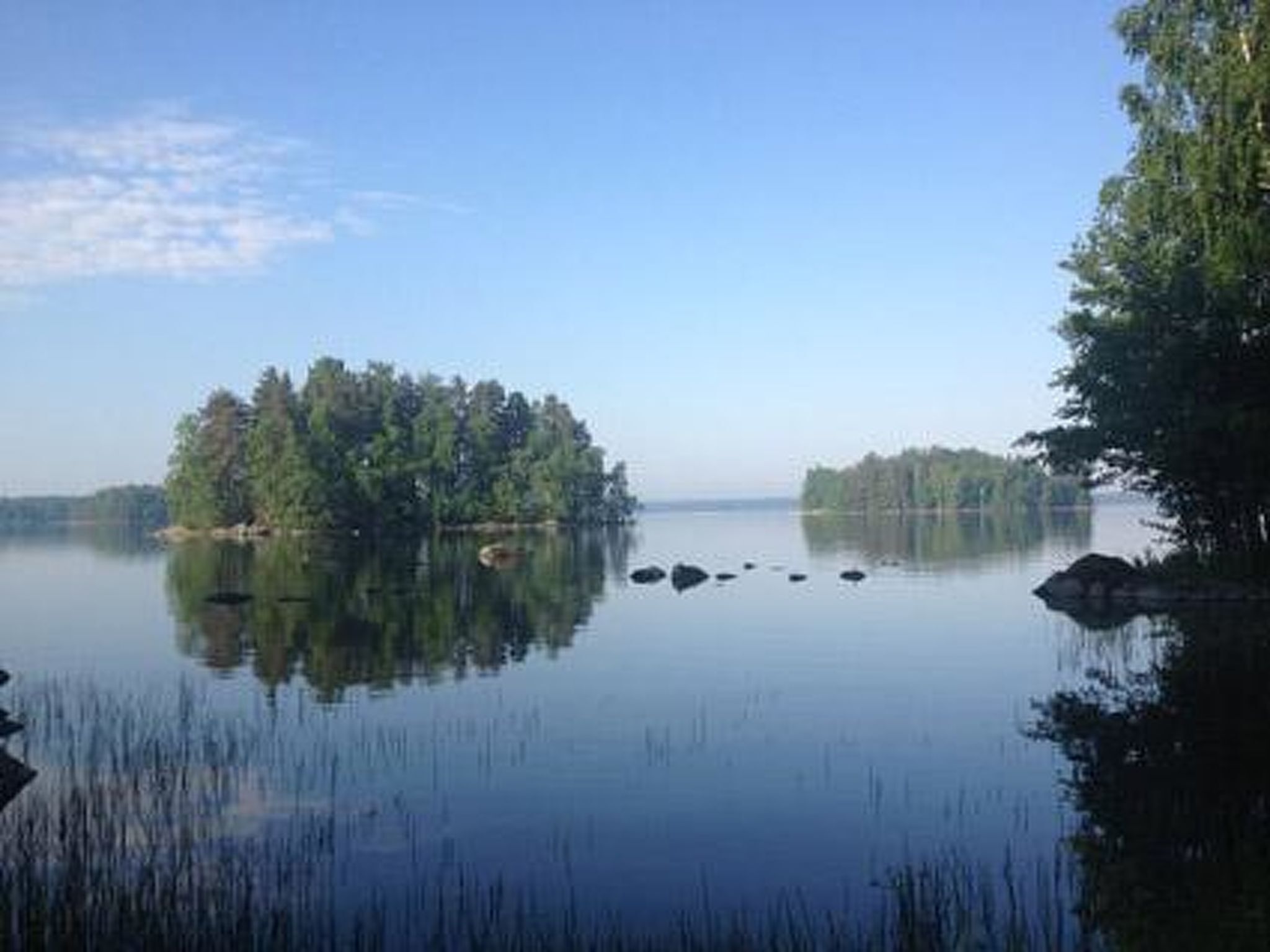 Un lago tranquillo con una piccola isola di alberi circondata da acque calme.