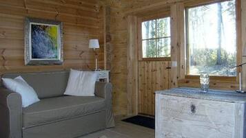 Televisio, DVD-soitin